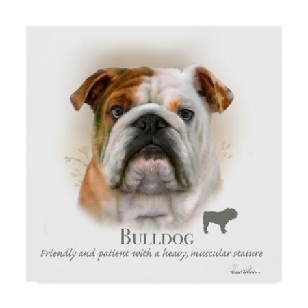 Trademark Fine Art Howard Robinson 'Bulldog' Canvas Art, 24x24 ALI24043-C2424GG